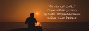 "හීන පේන හැම රෑකම" මේ වන තෙක් බොහෝ අය, ප්‍රේමයට නොයෙක් ආකාරයේ නිර්වචන දී ඇත. ඒ අතරින් ප්‍රේමය කියන්නේම පාරමිතාවක් ය යන්න හදවතට ඉතා සමීප කාරණාවකි. එය එක් හදවතක් තවත් හදවතකට සතුට සහ සැනසීම ළඟා කරවන, ජීවන සසර පුරා පෙරුම් පුරනා පිවිතුරුම සිතුවිල්ලකි. අයිතියක් කියන්නට නොහැකිමුත් කොහේ හෝ තුටින් නම් එපමණය යන තැන ද ඇත්තේ ප්‍රේමය ය. නමුත් එය වැළඳ ගන්නා ආකාරය අනුව එය එකිනෙකාගෙන් වෙනස් වේ. ප්‍රේමයට විවිධ අර්ථකථන ලැබී ඇත්තේ එහෙයිනි. ඉදිරියටත් තවත් බොහෝ අය තව බොහෝ නිර්වචන ප්‍රේමය වෙනුවෙන් වෙන් කරාවි. ප්‍රේමයේ ඉසියුම් තැන් හදවතට කාවද්දන "හීන පේන හැම රෑකම" ගීතය, ප්‍රේමය සහ අයිතිය අතර දෝලනය වන හැඟීම් සමුදායක් ගෙන හැර පාන අතර කිසිදු දිනෙක ප්‍රේමයක් පිළිබඳව අහිතක් නොසිතෙනා අයුරින් මැදිහත් ව ඒ දෙස බැලීමට පොළඹවන්නකි. මෙම ගීතය නිමැවෙන්නේ ගායක හර්ෂණ දිසානායකගේ හඬ, නන්දසිරි කීඹියාහෙට්ටිගේ අපූර්ව පද රචනය සහ දර්ශන වික්‍රමතුංගගේ සංගීත නිර්මාණය එකට මුසු වීමෙනි. "හීන පේන හැම රෑකම වෙන කොටත් නොකී ලේන කුලේ සිට නුඹ මට යශෝධරාවකී නීල නුවන් යුග නොපියා තනි යහනේ සිටී ආලවන්තකම ලඳුනේ පාරමිතාවකී..." මේ ගෙවෙන හැම රාත්‍රියකම හීනයක් දුටුවා නම් ඒ නුඹය. රහසේම විඳි නමුත් කාටත් නොකියූ ඒ ලස්සනම හීනය නුඹ ය. "ලේන කුලේ සිට නුඹ මට යශෝධරාවකි" යනුවෙන් ඉතාමත් සෙනෙහෙවන්ත ලෙස පද අමුණා ඇත්තේ කල්ප කාලයක පටන් ලේන කුලයේ සිට පෙරුම් පුරනා, පිවිතුරු ප්‍රේමයේ ප්‍රතිමූර්තියක් වන යශෝධරා දේවිය ඇයට උපමා කරමිනි. නුඹ නොමැති මේ තනි යහන මත මගේ දෙනුවන් නොපියා රැයවල් ගෙවෙයි. ඉතින්, සුහදිනිය, ප්‍රේමය කියන්නේම පාරමිතාවකි. "පේරැස් මුදුවක් පලඳන නැකතක් නොයෙදුනේ... මේ වස්දඬු රාවය මැද නුඹ සිහිනෙන් පෙනේ.. පාලොස්වක සඳ ඉල්ලා මාසෙ පොය දිනේ... මේ ඇස් දෙක ලඟ නාඩන් එතකොට දුක දැනේ..." මඳකට හද සසල කරවන හැඟීම් ගොන්නක් වචන තුළ සඟවමින්, නුඹ වෙනුවෙන් මුදුවක අයිතියක් තබන්නට මංගල නැකතක් නොයෙදුනත්, මේ නිසංසල රැය පුරාවට සවන් වැකෙනා මිහිරිතම බටනලා රාවය මැදින් මට මැවෙන්නේ නුඹ ය. "පසලොස්වක සඳ ඉල්ලා මාසෙ පෝය දිනේ" යන්නෙන් ඔහුට ඇය වෙනුවෙන් දැරිය නොහැකි සහ කළ නොහැකි දේවල් පිළිබඳව කියැවෙන අතර ඒ දෑස් හඬන විට දැනෙන අපරිමිත දුක් දොම්නස් පිළිබඳව ඉතාමත් අපූර්ව ලෙස වචන කර ඇත. "පේලි සැදී දලදා වැඳ ම⁣ට හිනැහුන රැයේ.... මාලිගාව මගේ වගේ දැනුනා සොඳුරියේ... වාවගන්න බැරි තනිකම හිරකරගෙන ලයේ... ජීවිතේම හොරු අරගෙන කොහෙදෝ නුඹ ගියේ..." නුඹ එදා මුව පුරා මා හා සිනා වුණු දිනේ, මුළු ලෝකය ම මගේ විය. "පේලි සැදී දලදා වැඳ ම⁣ට හිනැහුන රැයේ...මාලිගාව මගේ වගේ දැනුනා සොඳුරියේ..." යන්නෙන් දළදා මාලිගාව උපමාවට ගනිමින් ඉතාමත් පිවිතුරු හැඟීමක් උද්දීපනය කරයි. ප්‍රේමයක් ඉපදීම කොතරම් නම් සොඳුරු සහ පිවිතුරු හැඟීමක් ද? ඒ කොහොම වෙතත්, අවසන ඔහු ඇයගෙන් විමසන්නේ එකම එක දෙයක් පමණයි. දරන්නට බැරි තරම්, මේ දැනෙන පාළුව, තනිකම හදවතේ හිරකරන්, මගේ ජීවිතයම වූ නුඹ, ඒ ජීවිතයම රැගෙන කොහේ දෝ ගියේ? යන්නයි. ඉතින්, මෙලෙසින් ඔහුගේ හද තුළ කැකෑරෙන විරහ වේදනාවන් සියල්ල ඉතාමත් උපේක්ෂා සහගත අයුරින්, හදවත රිදී නොරිදෙනා සේ ගීතය පුරාවට දිය කර හැර ඇත. මොහොතකට ගීතය තුළ එල්බ වෙනස්ම වූ රසයක සවන් දෙන්නන්ව අතරමං කරවීමට සමත්, නිවීමෙන් සැනසීම රැගෙන එන හර්ෂණ දිසානායකයන්ගේ හඬට, ඒ ගැඹුරු සංගීත රටාවන් සහ පද රචනය එක් වීම අපූර්ව සංකලනයක් බව කිව යුතුමය. ප්‍රේමයේ පාරමිතාවට සෙනෙහසින් ගැයෙන "හීන පේන හැම රෑකම" ප්‍රේමයේ ඉසියුම් බව පසක් කරවන අරුත්බර නිර්මාණයකි. -නවෝද්‍යා ධනංජනී-