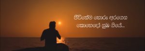 "හීන පේන හැම රෑකම" මේ වන තෙක් බොහෝ අය, ප්‍රේමයට නොයෙක් ආකාරයේ නිර්වචන දී ඇත. ඒ අතරින් ප්‍රේමය කියන්නේම පාරමිතාවක් ය යන්න හදවතට ඉතා සමීප කාරණාවකි. එය එක් හදවතක් තවත් හදවතකට සතුට සහ සැනසීම ළඟා කරවන, ජීවන සසර පුරා පෙරුම් පුරනා පිවිතුරුම සිතුවිල්ලකි. අයිතියක් කියන්නට නොහැකිමුත් කොහේ හෝ තුටින් නම් එපමණය යන තැන ද ඇත්තේ ප්‍රේමය ය. නමුත් එය වැළඳ ගන්නා ආකාරය අනුව එය එකිනෙකාගෙන් වෙනස් වේ. ප්‍රේමයට විවිධ අර්ථකථන ලැබී ඇත්තේ එහෙයිනි. ඉදිරියටත් තවත් බොහෝ අය තව බොහෝ නිර්වචන ප්‍රේමය වෙනුවෙන් වෙන් කරාවි. ප්‍රේමයේ ඉසියුම් තැන් හදවතට කාවද්දන "හීන පේන හැම රෑකම" ගීතය, ප්‍රේමය සහ අයිතිය අතර දෝලනය වන හැඟීම් සමුදායක් ගෙන හැර පාන අතර කිසිදු දිනෙක ප්‍රේමයක් පිළිබඳව අහිතක් නොසිතෙනා අයුරින් මැදිහත් ව ඒ දෙස බැලීමට පොළඹවන්නකි. මෙම ගීතය නිමැවෙන්නේ ගායක හර්ෂණ දිසානායකගේ හඬ, නන්දසිරි කීඹියාහෙට්ටිගේ අපූර්ව පද රචනය සහ දර්ශන වික්‍රමතුංගගේ සංගීත නිර්මාණය එකට මුසු වීමෙනි. "හීන පේන හැම රෑකම වෙන කොටත් නොකී ලේන කුලේ සිට නුඹ මට යශෝධරාවකී නීල නුවන් යුග නොපියා තනි යහනේ සිටී ආලවන්තකම ලඳුනේ පාරමිතාවකී..." මේ ගෙවෙන හැම රාත්‍රියකම හීනයක් දුටුවා නම් ඒ නුඹය. රහසේම විඳි නමුත් කාටත් නොකියූ ඒ ලස්සනම හීනය නුඹ ය. "ලේන කුලේ සිට නුඹ මට යශෝධරාවකි" යනුවෙන් ඉතාමත් සෙනෙහෙවන්ත ලෙස පද අමුණා ඇත්තේ කල්ප කාලයක පටන් ලේන කුලයේ සිට පෙරුම් පුරනා, පිවිතුරු ප්‍රේමයේ ප්‍රතිමූර්තියක් වන යශෝධරා දේවිය ඇයට උපමා කරමිනි. නුඹ නොමැති මේ තනි යහන මත මගේ දෙනුවන් නොපියා රැයවල් ගෙවෙයි. ඉතින්, සුහදිනිය, ප්‍රේමය කියන්නේම පාරමිතාවකි. "පේරැස් මුදුවක් පලඳන නැකතක් නොයෙදුනේ... මේ වස්දඬු රාවය මැද නුඹ සිහිනෙන් පෙනේ.. පාලොස්වක සඳ ඉල්ලා මාසෙ පොය දිනේ... මේ ඇස් දෙක ලඟ නාඩන් එතකොට දුක දැනේ..." මඳකට හද සසල කරවන හැඟීම් ගොන්නක් වචන තුළ සඟවමින්, නුඹ වෙනුවෙන් මුදුවක අයිතියක් තබන්නට මංගල නැකතක් නොයෙදුනත්, මේ නිසංසල රැය පුරාවට සවන් වැකෙනා මිහිරිතම බටනලා රාවය මැදින් මට මැවෙන්නේ නුඹ ය. "පසලොස්වක සඳ ඉල්ලා මාසෙ පෝය දිනේ" යන්නෙන් ඔහුට ඇය වෙනුවෙන් දැරිය නොහැකි සහ කළ නොහැකි දේවල් පිළිබඳව කියැවෙන අතර ඒ දෑස් හඬන විට දැනෙන අපරිමිත දුක් දොම්නස් පිළිබඳව ඉතාමත් අපූර්ව ලෙස වචන කර ඇත. "පේලි සැදී දලදා වැඳ ම⁣ට හිනැහුන රැයේ.... මාලිගාව මගේ වගේ දැනුනා සොඳුරියේ... වාවගන්න බැරි තනිකම හිරකරගෙන ලයේ... ජීවිතේම හොරු අරගෙන කොහෙදෝ නුඹ ගියේ..." නුඹ එදා මුව පුරා මා හා සිනා වුණු දිනේ, මුළු ලෝකය ම මගේ විය. "පේලි සැදී දලදා වැඳ ම⁣ට හිනැහුන රැයේ...මාලිගාව මගේ වගේ දැනුනා සොඳුරියේ..." යන්නෙන් දළදා මාලිගාව උපමාවට ගනිමින් ඉතාමත් පිවිතුරු හැඟීමක් උද්දීපනය කරයි. ප්‍රේමයක් ඉපදීම කොතරම් නම් සොඳුරු සහ පිවිතුරු හැඟීමක් ද? ඒ කොහොම වෙතත්, අවසන ඔහු ඇයගෙන් විමසන්නේ එකම එක දෙයක් පමණයි. දරන්නට බැරි තරම්, මේ දැනෙන පාළුව, තනිකම හදවතේ හිරකරන්, මගේ ජීවිතයම වූ නුඹ, ඒ ජීවිතයම රැගෙන කොහේ දෝ ගියේ? යන්නයි. ඉතින්, මෙලෙසින් ඔහුගේ හද තුළ කැකෑරෙන විරහ වේදනාවන් සියල්ල ඉතාමත් උපේක්ෂා සහගත අයුරින්, හදවත රිදී නොරිදෙනා සේ ගීතය පුරාවට දිය කර හැර ඇත. මොහොතකට ගීතය තුළ එල්බ වෙනස්ම වූ රසයක සවන් දෙන්නන්ව අතරමං කරවීමට සමත්, නිවීමෙන් සැනසීම රැගෙන එන හර්ෂණ දිසානායකයන්ගේ හඬට, ඒ ගැඹුරු සංගීත රටාවන් සහ පද රචනය එක් වීම අපූර්ව සංකලනයක් බව කිව යුතුමය. ප්‍රේමයේ පාරමිතාවට සෙනෙහසින් ගැයෙන "හීන පේන හැම රෑකම" ප්‍රේමයේ ඉසියුම් බව පසක් කරවන අරුත්බර නිර්මාණයකි. -නවෝද්‍යා ධනංජනී-