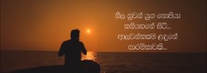"හීන පේන හැම රෑකම" මේ වන තෙක් බොහෝ අය, ප්‍රේමයට නොයෙක් ආකාරයේ නිර්වචන දී ඇත. ඒ අතරින් ප්‍රේමය කියන්නේම පාරමිතාවක් ය යන්න හදවතට ඉතා සමීප කාරණාවකි. එය එක් හදවතක් තවත් හදවතකට සතුට සහ සැනසීම ළඟා කරවන, ජීවන සසර පුරා පෙරුම් පුරනා පිවිතුරුම සිතුවිල්ලකි. අයිතියක් කියන්නට නොහැකිමුත් කොහේ හෝ තුටින් නම් එපමණය යන තැන ද ඇත්තේ ප්‍රේමය ය. නමුත් එය වැළඳ ගන්නා ආකාරය අනුව එය එකිනෙකාගෙන් වෙනස් වේ. ප්‍රේමයට විවිධ අර්ථකථන ලැබී ඇත්තේ එහෙයිනි. ඉදිරියටත් තවත් බොහෝ අය තව බොහෝ නිර්වචන ප්‍රේමය වෙනුවෙන් වෙන් කරාවි. ප්‍රේමයේ ඉසියුම් තැන් හදවතට කාවද්දන "හීන පේන හැම රෑකම" ගීතය, ප්‍රේමය සහ අයිතිය අතර දෝලනය වන හැඟීම් සමුදායක් ගෙන හැර පාන අතර කිසිදු දිනෙක ප්‍රේමයක් පිළිබඳව අහිතක් නොසිතෙනා අයුරින් මැදිහත් ව ඒ දෙස බැලීමට පොළඹවන්නකි. මෙම ගීතය නිමැවෙන්නේ ගායක හර්ෂණ දිසානායකගේ හඬ, නන්දසිරි කීඹියාහෙට්ටිගේ අපූර්ව පද රචනය සහ දර්ශන වික්‍රමතුංගගේ සංගීත නිර්මාණය එකට මුසු වීමෙනි. "හීන පේන හැම රෑකම වෙන කොටත් නොකී ලේන කුලේ සිට නුඹ මට යශෝධරාවකී නීල නුවන් යුග නොපියා තනි යහනේ සිටී ආලවන්තකම ලඳුනේ පාරමිතාවකී..." මේ ගෙවෙන හැම රාත්‍රියකම හීනයක් දුටුවා නම් ඒ නුඹය. රහසේම විඳි නමුත් කාටත් නොකියූ ඒ ලස්සනම හීනය නුඹ ය. "ලේන කුලේ සිට නුඹ මට යශෝධරාවකි" යනුවෙන් ඉතාමත් සෙනෙහෙවන්ත ලෙස පද අමුණා ඇත්තේ කල්ප කාලයක පටන් ලේන කුලයේ සිට පෙරුම් පුරනා, පිවිතුරු ප්‍රේමයේ ප්‍රතිමූර්තියක් වන යශෝධරා දේවිය ඇයට උපමා කරමිනි. නුඹ නොමැති මේ තනි යහන මත මගේ දෙනුවන් නොපියා රැයවල් ගෙවෙයි. ඉතින්, සුහදිනිය, ප්‍රේමය කියන්නේම පාරමිතාවකි. "පේරැස් මුදුවක් පලඳන නැකතක් නොයෙදුනේ... මේ වස්දඬු රාවය මැද නුඹ සිහිනෙන් පෙනේ.. පාලොස්වක සඳ ඉල්ලා මාසෙ පොය දිනේ... මේ ඇස් දෙක ලඟ නාඩන් එතකොට දුක දැනේ..." මඳකට හද සසල කරවන හැඟීම් ගොන්නක් වචන තුළ සඟවමින්, නුඹ වෙනුවෙන් මුදුවක අයිතියක් තබන්නට මංගල නැකතක් නොයෙදුනත්, මේ නිසංසල රැය පුරාවට සවන් වැකෙනා මිහිරිතම බටනලා රාවය මැදින් මට මැවෙන්නේ නුඹ ය. "පසලොස්වක සඳ ඉල්ලා මාසෙ පෝය දිනේ" යන්නෙන් ඔහුට ඇය වෙනුවෙන් දැරිය නොහැකි සහ කළ නොහැකි දේවල් පිළිබඳව කියැවෙන අතර ඒ දෑස් හඬන විට දැනෙන අපරිමිත දුක් දොම්නස් පිළිබඳව ඉතාමත් අපූර්ව ලෙස වචන කර ඇත. "පේලි සැදී දලදා වැඳ ම⁣ට හිනැහුන රැයේ.... මාලිගාව මගේ වගේ දැනුනා සොඳුරියේ... වාවගන්න බැරි තනිකම හිරකරගෙන ලයේ... ජීවිතේම හොරු අරගෙන කොහෙදෝ නුඹ ගියේ..." නුඹ එදා මුව පුරා මා හා සිනා වුණු දිනේ, මුළු ලෝකය ම මගේ විය. "පේලි සැදී දලදා වැඳ ම⁣ට හිනැහුන රැයේ...මාලිගාව මගේ වගේ දැනුනා සොඳුරියේ..." යන්නෙන් දළදා මාලිගාව උපමාවට ගනිමින් ඉතාමත් පිවිතුරු හැඟීමක් උද්දීපනය කරයි. ප්‍රේමයක් ඉපදීම කොතරම් නම් සොඳුරු සහ පිවිතුරු හැඟීමක් ද? ඒ කොහොම වෙතත්, අවසන ඔහු ඇයගෙන් විමසන්නේ එකම එක දෙයක් පමණයි. දරන්නට බැරි තරම්, මේ දැනෙන පාළුව, තනිකම හදවතේ හිරකරන්, මගේ ජීවිතයම වූ නුඹ, ඒ ජීවිතයම රැගෙන කොහේ දෝ ගියේ? යන්නයි. ඉතින්, මෙලෙසින් ඔහුගේ හද තුළ කැකෑරෙන විරහ වේදනාවන් සියල්ල ඉතාමත් උපේක්ෂා සහගත අයුරින්, හදවත රිදී නොරිදෙනා සේ ගීතය පුරාවට දිය කර හැර ඇත. මොහොතකට ගීතය තුළ එල්බ වෙනස්ම වූ රසයක සවන් දෙන්නන්ව අතරමං කරවීමට සමත්, නිවීමෙන් සැනසීම රැගෙන එන හර්ෂණ දිසානායකයන්ගේ හඬට, ඒ ගැඹුරු සංගීත රටාවන් සහ පද රචනය එක් වීම අපූර්ව සංකලනයක් බව කිව යුතුමය. ප්‍රේමයේ පාරමිතාවට සෙනෙහසින් ගැයෙන "හීන පේන හැම රෑකම" ප්‍රේමයේ ඉසියුම් බව පසක් කරවන අරුත්බර නිර්මාණයකි. -නවෝද්‍යා ධනංජනී-