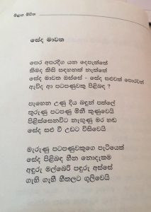 සේද මාවත පෙර අපරදිග යන දෙපැත්තේ කිමද කිසි සඳහනක් නැත්තේ සේද මාවත ඔස්සේ - සේද සළුවක් පොරවන් ඇවිද ආ පටපණුවකු පිළිබඳ? පැහෙන උණු දිය බඳුන් පත්ලේ තුරුණු පටපණු මිනී කුණුවෙයි පිළිස්සෙනවිට නැගුණු මර හඬ සේද සළු වී උඩට විසිවෙයි මැරුණු පටපණුවකුගෙ පැටියෙක් සේද පිළිබඳ හීන නොදැකම අඳුරු මල්බෙරි පඳුරු අස්සේ ගැහි ගැහී හීතලට ගුලිවෙයි රුවන් බන්දුජීව - මීළඟ මීවිත කෘතියෙනි නෞකා හා මාලිමාවල නිපදවීමත් සමග සාගරය හරා සේද මාවතෙහි ව්‍යාපෘතිය සිදුවෙද්දී එහි පෙරදිගත් අපරදිගත් අතර සන්ධිස්ථානයක් වූණේ ශ්‍රී ලංකාව. පෙරදිග සිට මධ්‍යධරණී ප්‍රදේශ, සහ යුරෝපය දක්වා අපරදිගට ප්‍රවාහනය වෙන දහසකුත් එකක් භාණ්ඩ අතර සේද රෙදි සුවිශේෂී ස්ථානයක රැඳී තිබුණා. වත්මන් චීනය ආශ්‍රිත ප්‍රදේශවල නිපදවූ මේ සේද රෙදිවලට අවශ්‍යය කෙඳි ලබාගත්තේ මල්බෙරි ගස්වල ජීවත්වුණු පටපණුවන්ගේ කෝෂවලින්. සේද රෙදි නිපදවන්න නම් මේ කෝෂ උණු ජලයේ තම්බා කෙඳි වෙන්කරගත යුතුයි. එහිදී මේ තුළ සිටින පටපණුවන්ට මියයන්න සිදුවෙනවා. මල්බෙරි ගස්වල ඉන්න කෝෂ නොහදපු පටපණු පැටවුන් වුණත් කල් ගිහින් වැඩෙද්දී අත්කරගන්නේ මේ ඉරණමමයි. රුවන් බන්දුජීව කවියා මේ සිදුවීම උපයෝගී කරගෙන වත්මන් ශ්‍රී ලංකාවේ එක් ඛේදාන්තයක් නිරූපණය කරනවා. පෙරදිගට වන්නට පිහිටි චීනය, ජපානය, කොරියාව වැනි රටවල් මෙන්ම අපරදිග යුරෝපය හා මැදපෙරදිග දක්වා බොහෝ රටවල්වල ලාංකිකයින් විවිධාකාර වූ රැකියාවල නිරතවෙනවා. කවියා ඔවුන්ව පටපණුවන්ට අනුරූප කරනවා. දිවා රෑ වෙහෙසක් නොතකා කම්හල් තුළ වගාබිම්වල ඔවුන් තම ශ්‍රමය දියකර හරිනවා. ඒ කම්හල් තුළ ඔවුන් නිපදවන යන්ත්‍රසූත්‍ර, ආහාර ද්‍රව්‍ය, සෙල්ලම්බඩු, ඇඟළුම් ආදී බොහෝ දේ එදාමෙන් සේද මාවත හරහා නෞකාවලින් මෙන් ම, ගුවනින් ද ලෝකය පුරා බෙදාහරිනවා. ඒ සුඛෝපභෝගී භාණ්ඩ බහුතරයක්, ඉහළ පැළැන්තියේ මිනිසුන් අතර සැරිසරනවා. ඉතින්, ඔබ කවදාහරි අහලා තියෙනවද සේද සළු ඇන්ද පටපණුවෙක් ගැන? එහෙමත් නැත්නම්, රෝස මල් යහනාවල නිදපු, මව්රට ඇවිත් මාලිගාවක් තනපු විදෙස් ශ්‍රමිකයෙක් ගැන? පියාපත් ලැබෙන්න නම්, කෝෂ අවධියක් ගෙවන්න ම ඕනෙ. කෝෂ අවධියේදි කෝෂය තුළ ම මැරෙන්න වුණත්, පියාඹන්න මිලියනයකින් එකෙකුට හරි අවස්තාවක් එන බව දැනෙනවනම් කෝෂ අවධියකට නොයා හිත හදාගන්න පටපණුවන්ට බැරිව ඇති. මොකද ඒක ඔවුන්ගේ උරුමය නිසා. ඒ වගේ ම පැහෙන දිය බඳුන්වල තියෙන තරුණ පටපණු මළසිරුරු කවදාවත් පොඩි පටපණු පැටව් නොදන්න නිසා. පිටතින් බලන්නන්ට පෙනෙන්නේ වේදනා විලාපවලින් පණ අරන් උපදින සේද සළු පමණක් ම නිසා. ඉතින් අදටත් හෙටටත් අපේ ලාංකිකයන් මේ රවල්වලට ශ්‍රමිකයන් විදියට යනවා ජීවිතේ පියාඹන්න හීන දරාගෙන. පවුලේ අයගෙන් වෙන්වුණ දුක, වේදනාව, කුසගින්න, මහන්සිය, පහරදීම්, කලකිරීම් ආදී දහසකුත් එකක් වේදනා එක්තැන් වුණ පැහෙන ලෝදිය බඳුනක ඉඳන් ඔවුන්, ඔවුන්ට කවදාවත් මිලට ගන්න බැරි හීන ලෝකෙකට උරුම දේවල් නිපදවනවා. සමහරු ආයෙමත් මව්බිමට එන්නෙ සදහටම නෙත් පියාගත්තට පසුව. තවත් සමහරු ජීවිත කාලය පුරාවටම ආබාධිත වෙලා. ඉතිරි බහුතරය ජීවිතේ සතුටින්ම ගෙවන්න තිබුණු කාලය දියකරලා හුස්ම වැටෙන සිරුරක් විතරක් දරාගෙන ආයෙමත් එනවා. ඔවුන් මැරෙන, මැරෙමින් ජීවත්වෙන අතරේ ඔවුන්ගේ උණුසුම ලබන්න පෙරුම් පුරන දරුවන් කඳුළින් දවස ගෙවනවා. හරියට, කවදාවත් ම ආයෙම නොඑන පටපණුවෙක්ගේ පැටියෙක් මල්බෙරි ගස් යට අඳුරේ හීතලේ ගැහෙමින් තමන්ගෙ දෙමව්පියන්ගෙ උණුහුම ගැන හීන දකිනවා වගේ. ඒ උණුහුම අහිමිවීම වගේම සේද සළු තමන්ට උරුම නොවීමත කටුක යතාර්ථයක්. ඒත් ඇත්තටම පටපණු පැටවු ගැහෙන්නෙ සීතල නිසාම ද? අනාගතයේ තමන්ටත් කෝෂයක් වෙලා පැහෙන වතුරක මැරෙන්න වීමේ බය නිසා වෙන්න බැරි ද? ස්වර්ණමාලි කීරගල.